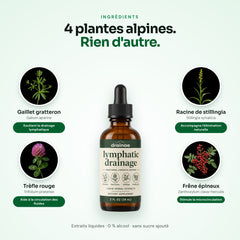 4 plantes et leur rôle : gaillet gratteron, trèfle rouge, stillingia, frêne épineux