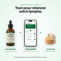 Protocole complet : gouttes, app guidée, brosse de drainage